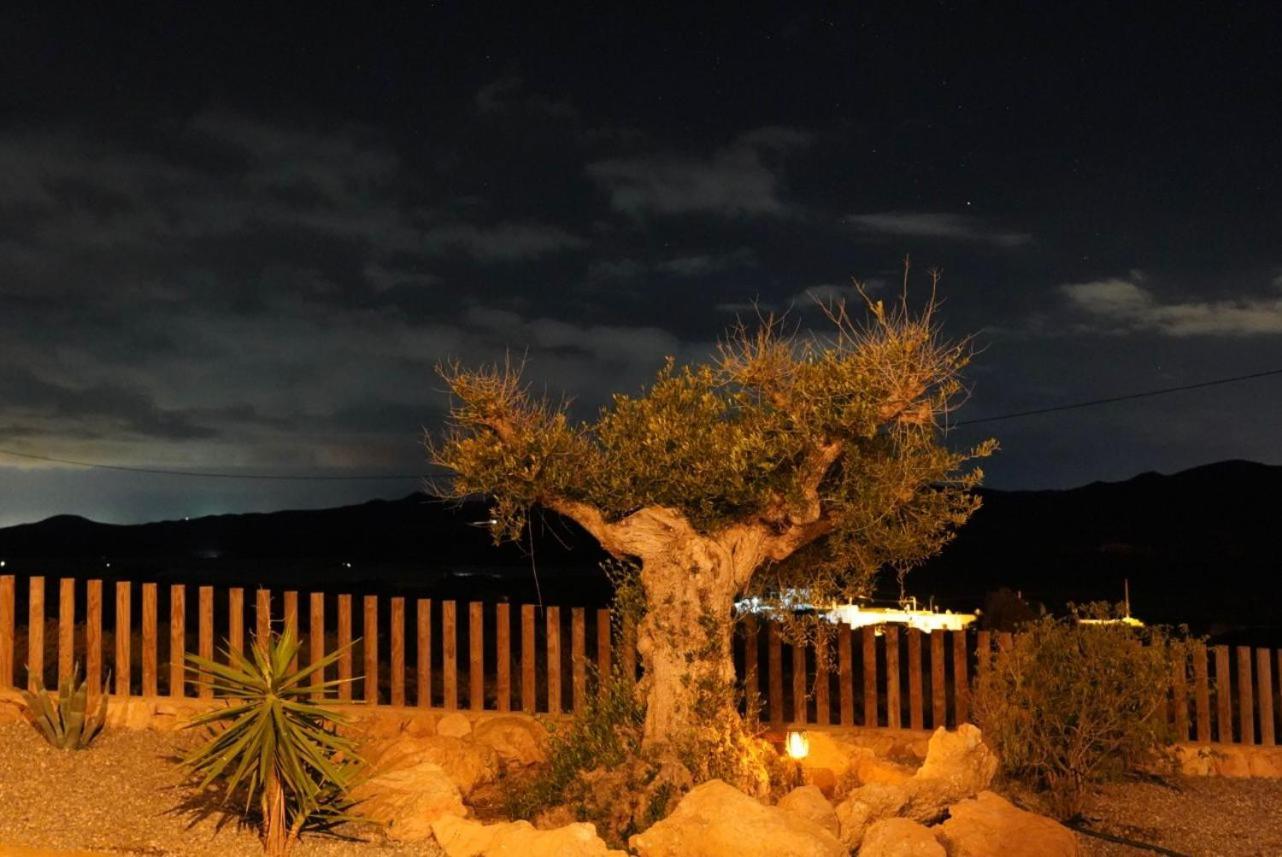 Apartamento El Cerro Y La Luna *